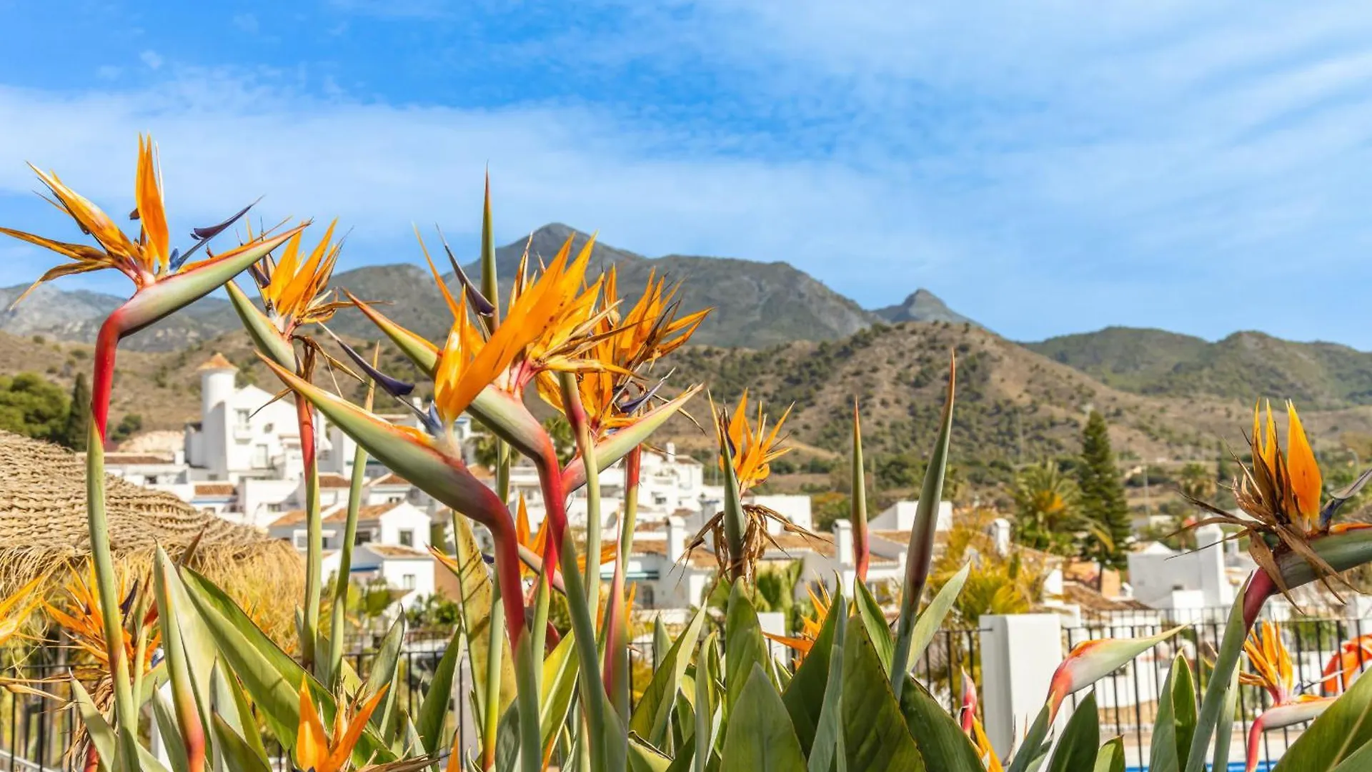 Tetuan 7 Oasis Properties Nerja 0*,  İspanya
