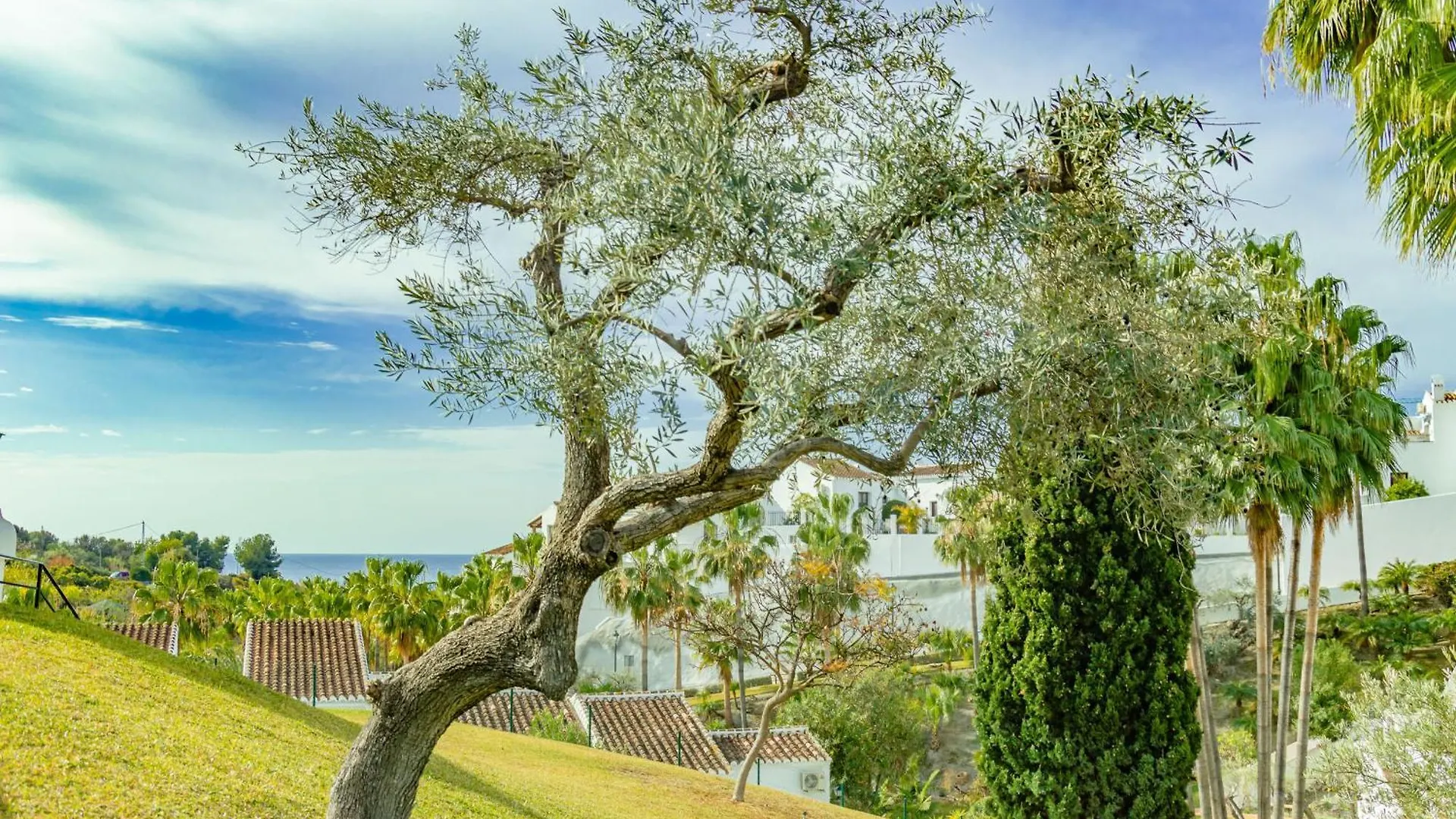 Tetuan 7 Oasis Properties Nerja 0*,